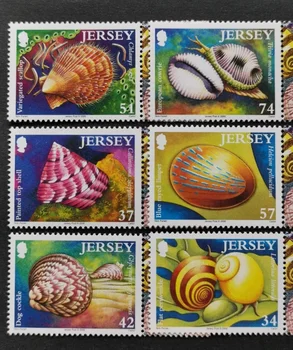 6 ШТ., Джерси, 2006, Ракушка, Морская жизнь, Настоящие оригинальные марки для коллекции, MNH